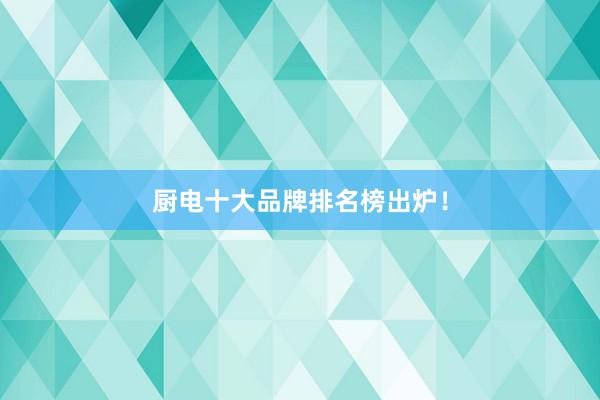 厨电十大品牌排名榜出炉！